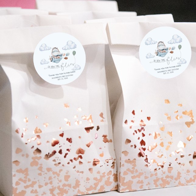 Cute Hippo Flies Airplane & Clouds, First Birthday Classic Round Sticker (Creator Uploaded)