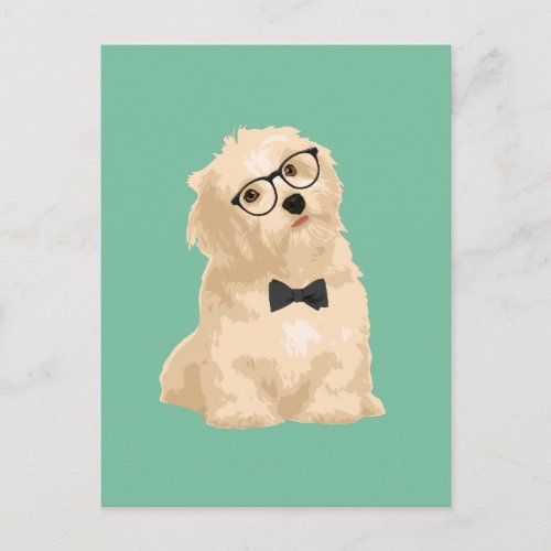 Cute Hipster Reddish Havanese Puppy for Dog Lovers Postcard