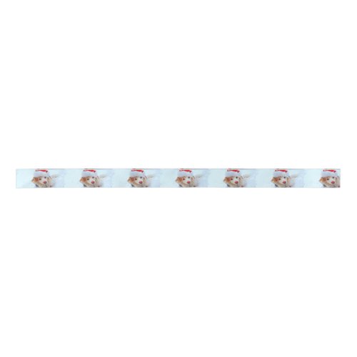 Cute holiday Dachshund dog Xmas festive hat snow Satin Ribbon