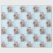 Cute holiday Dachshund dog Xmas festive hat snow