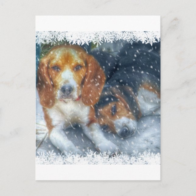 Cute Holiday Dog Postcard (Front)