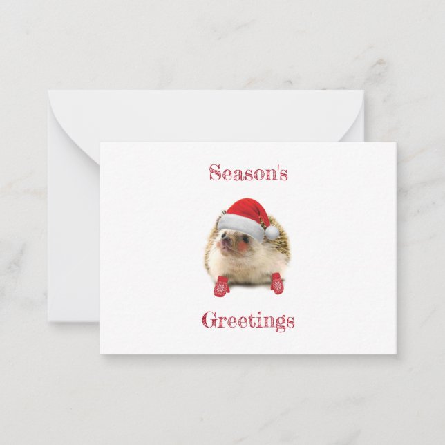 Cute Holiday Hedgehog Season's Greetings Card (Front)