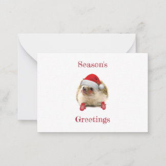 Cute Holiday Hedgehog Season's Greetings Card
