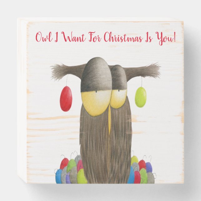 Cute Holiday Owl Wooden Box Sign (Front Horizontal)