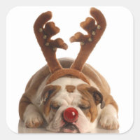Cute Holiday Puppy Stickers