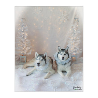 Cute Holiday Siberian Huskies Wall Art