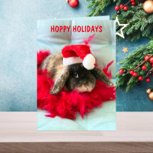 Cute Holland Lop Bunny Christmas Card