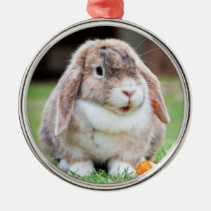 Cute Holland Lop Dwarf Bunny Rabbit Metal Ornament