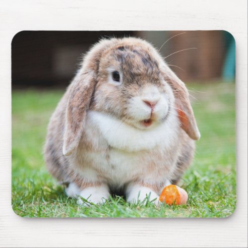 Cute Holland Mini Lop Bunny Rabbit Mouse Pad