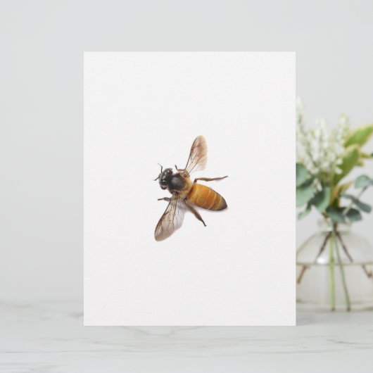 Cute honey bee bee bumble bee (Standing Front)