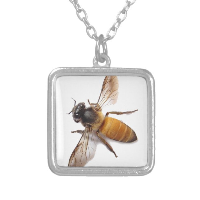 Cute Honey Bee bumble bee  Silver Plated Necklace (Front)