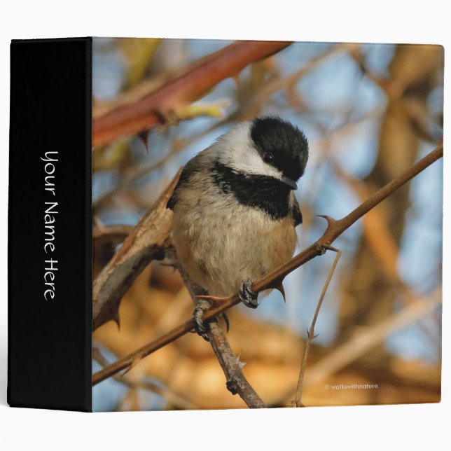 Cute Hopeful Black-Capped Chickadee Songbird Binder (Front/Spine)