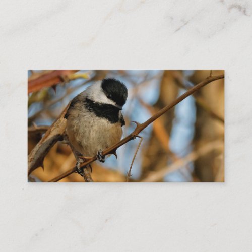 Cute Hopeful Black_Capped Chickadee Songbird Business Card