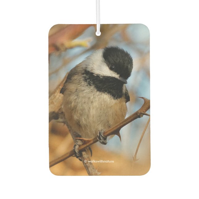 Cute Hopeful Black-Capped Chickadee Songbird Car Air Freshener (Front)