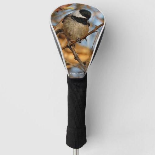 Cute Hopeful Black_Capped Chickadee Songbird Golf Head Cover