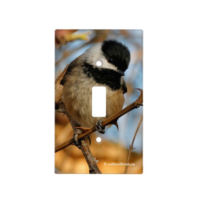 Cute Hopeful Black-Capped Chickadee Songbird Light Switch Cover (Front)