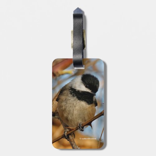 Cute Hopeful Black_Capped Chickadee Songbird Luggage Tag