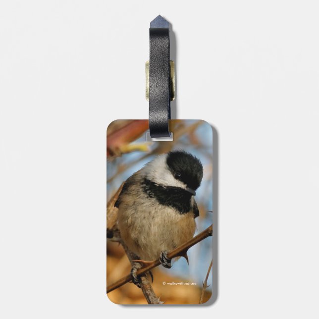 Cute Hopeful Black-Capped Chickadee Songbird Luggage Tag (Back Vertical)