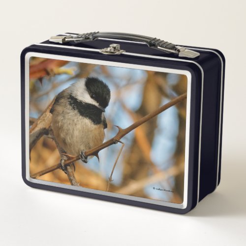 Cute Hopeful Black_Capped Chickadee Songbird Metal Lunch Box
