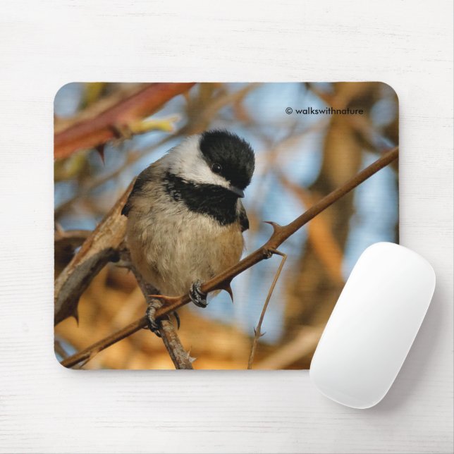 Cute Hopeful Black-Capped Chickadee Songbird Mouse Pad (With Mouse)