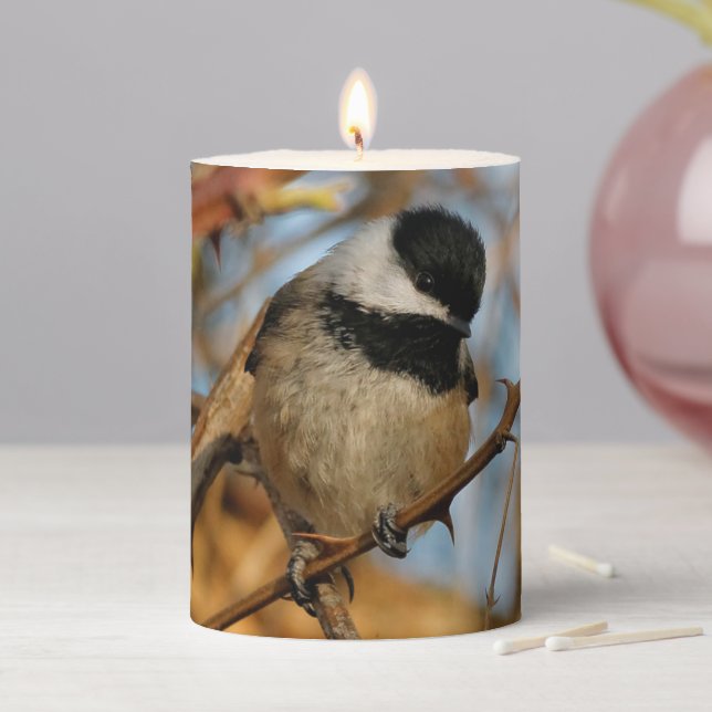 Cute Hopeful Black-Capped Chickadee Songbird Pillar Candle (In Situ)