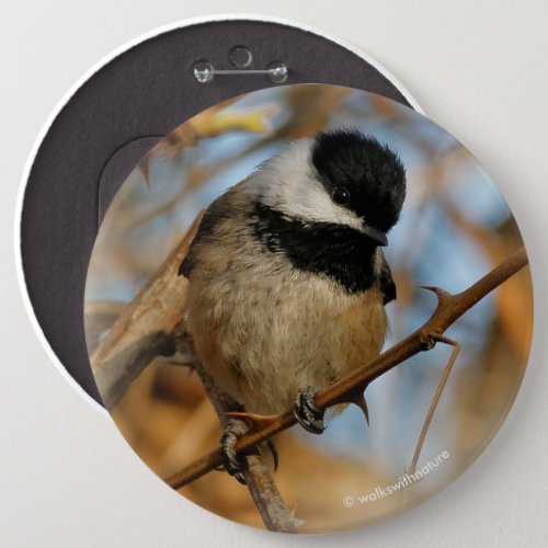 Cute Hopeful Black_Capped Chickadee Songbird Pinback Button