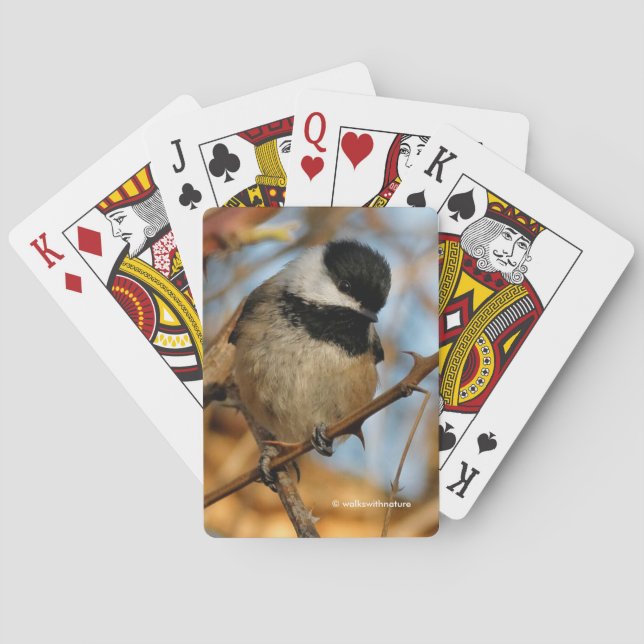 Cute Hopeful Black-Capped Chickadee Songbird Poker Cards (Back)