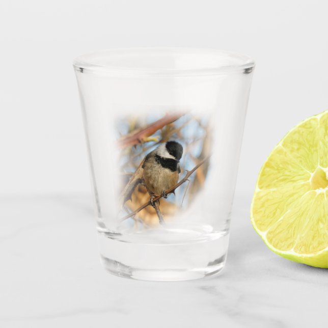 Cute Hopeful Black-Capped Chickadee Songbird Shot Glass (Front)