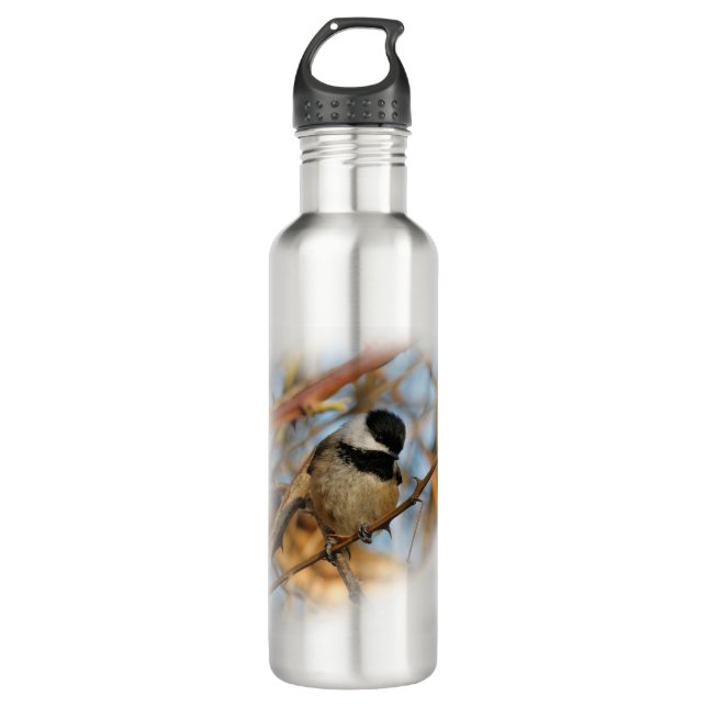 Cute Hopeful Black-Capped Chickadee Songbird Stainless Steel Water Bottle (Front)