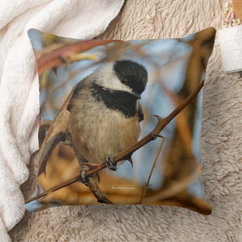 Cute Hopeful Black_Capped Chickadee Songbird Throw Pillow