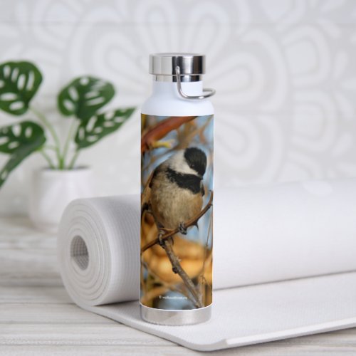 Cute Hopeful Black_Capped Chickadee Songbird Water Bottle