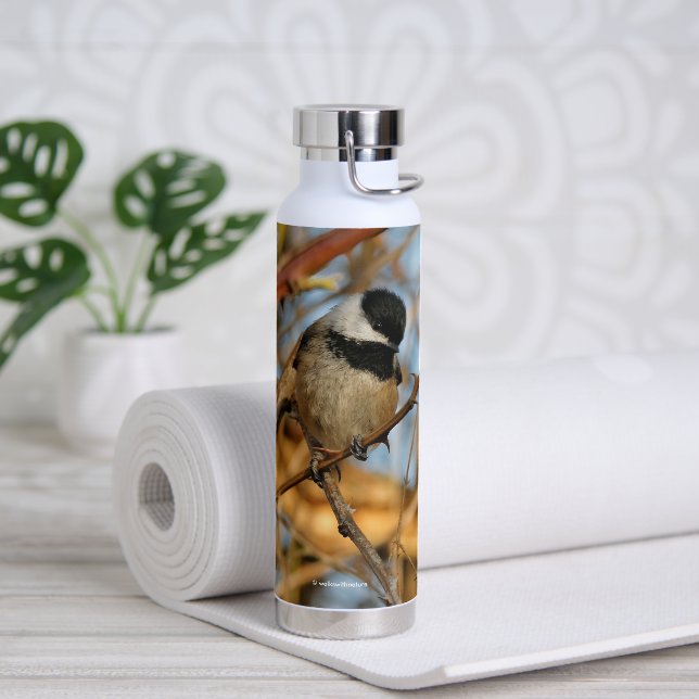 Cute Hopeful Black-Capped Chickadee Songbird Water Bottle (Yoga)