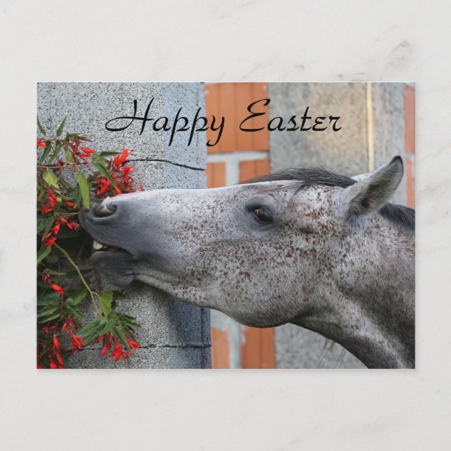 Cute Horse and Flowers Funny Farm Happy Easter Postcard (Front)