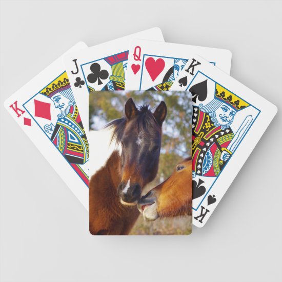 Cute Horse Bicycle Playing Cards
