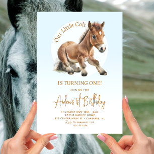 Cute Horse Boys 1st Birthday Invitation