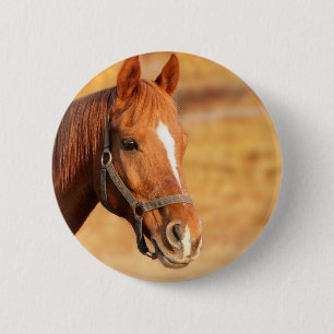 CUTE HORSE BUTTON