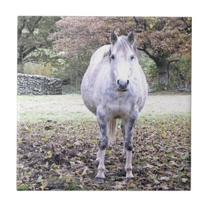 CUTE HORSE CERAMIC TILE