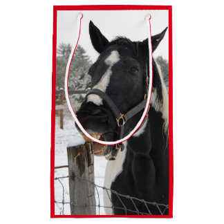 Cute Horse Chewing on a Fence Post Small Gift Bag