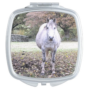 CUTE HORSE   COMPACT MIRROR