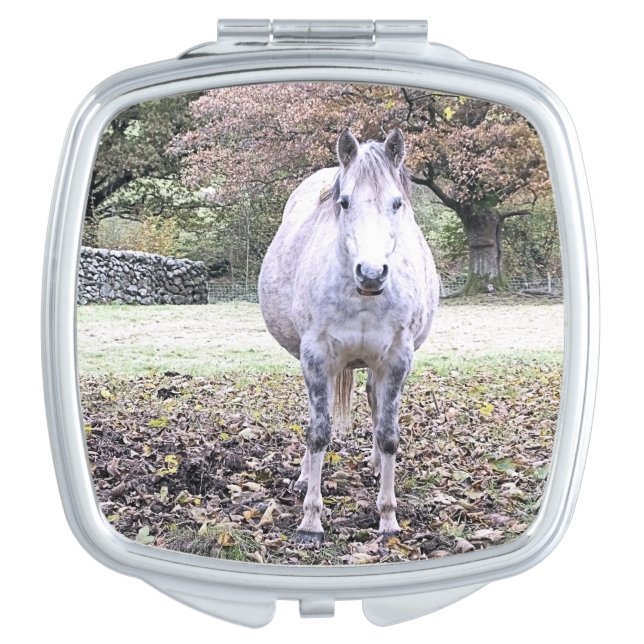 CUTE HORSE   COMPACT MIRROR (Front)