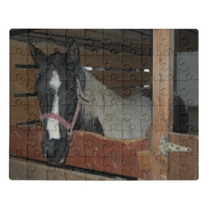 Cute Horse in a barn Jigsaw Puzzle