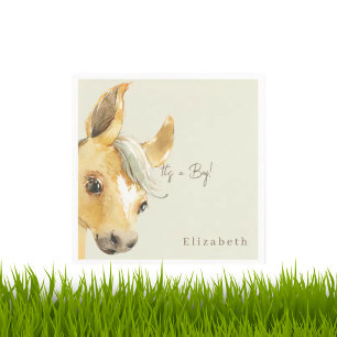 Cute Horse It's a Boy Baby Shower Cocktail Napkins