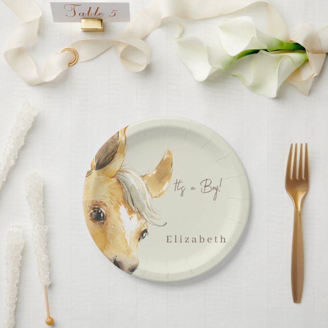 Cute Horse It's a Boy Baby Shower  Paper Plates (Wedding)