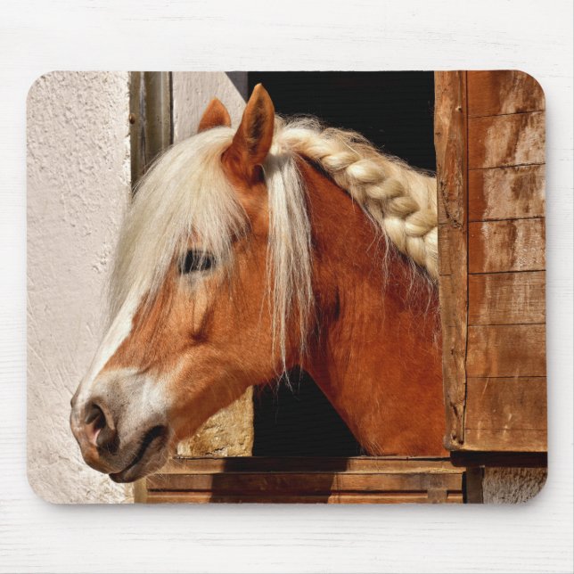 Cute Horse Mouse Pad (Front)