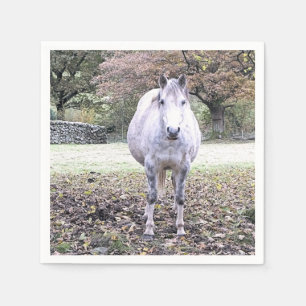 CUTE HORSE NAPKINS