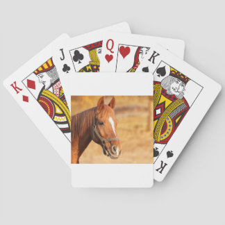 CUTE HORSE POKER CARDS