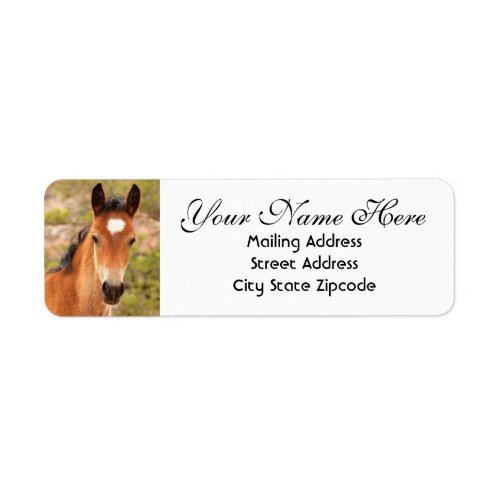 Cute Horse Return Address Label