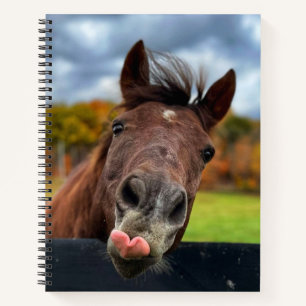 Cute horse spiral notebook