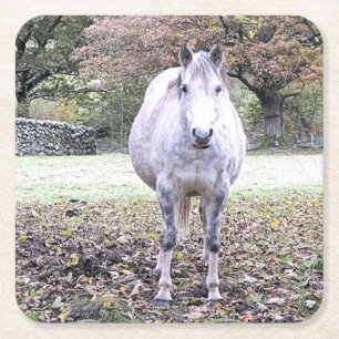 CUTE HORSE  SQUARE PAPER COASTER