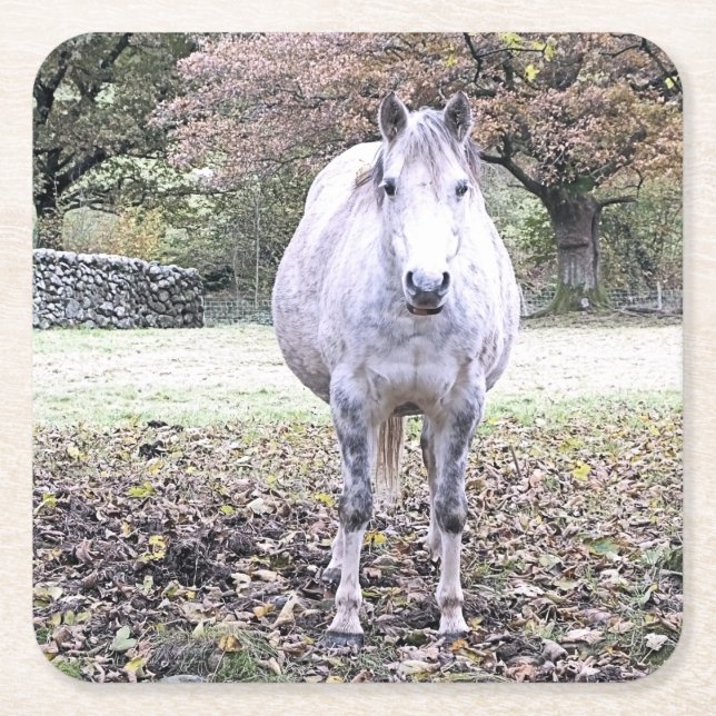 CUTE HORSE  SQUARE PAPER COASTER (Front)